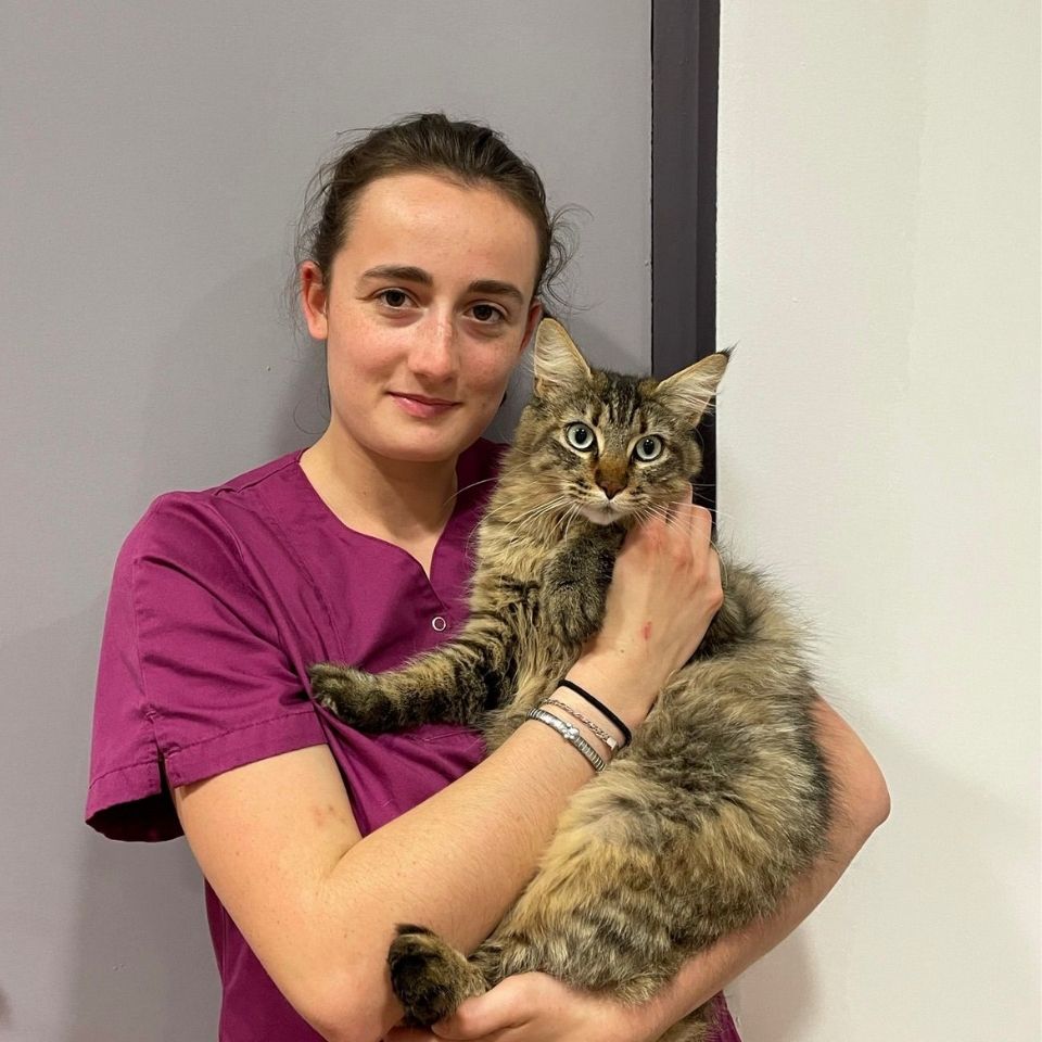 La Clinique Veterinaire Du Village Au Cœur Du Village De Mont Saint Aignan